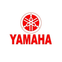 Yamaha Fuel Pumps